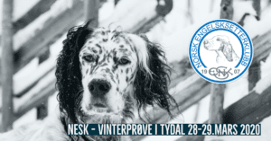 vinterprøve i Tydal 2020