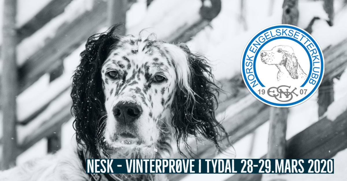 vinterprøve i Tydal 2020