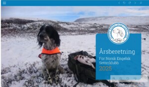 NESK årsberetning 2025