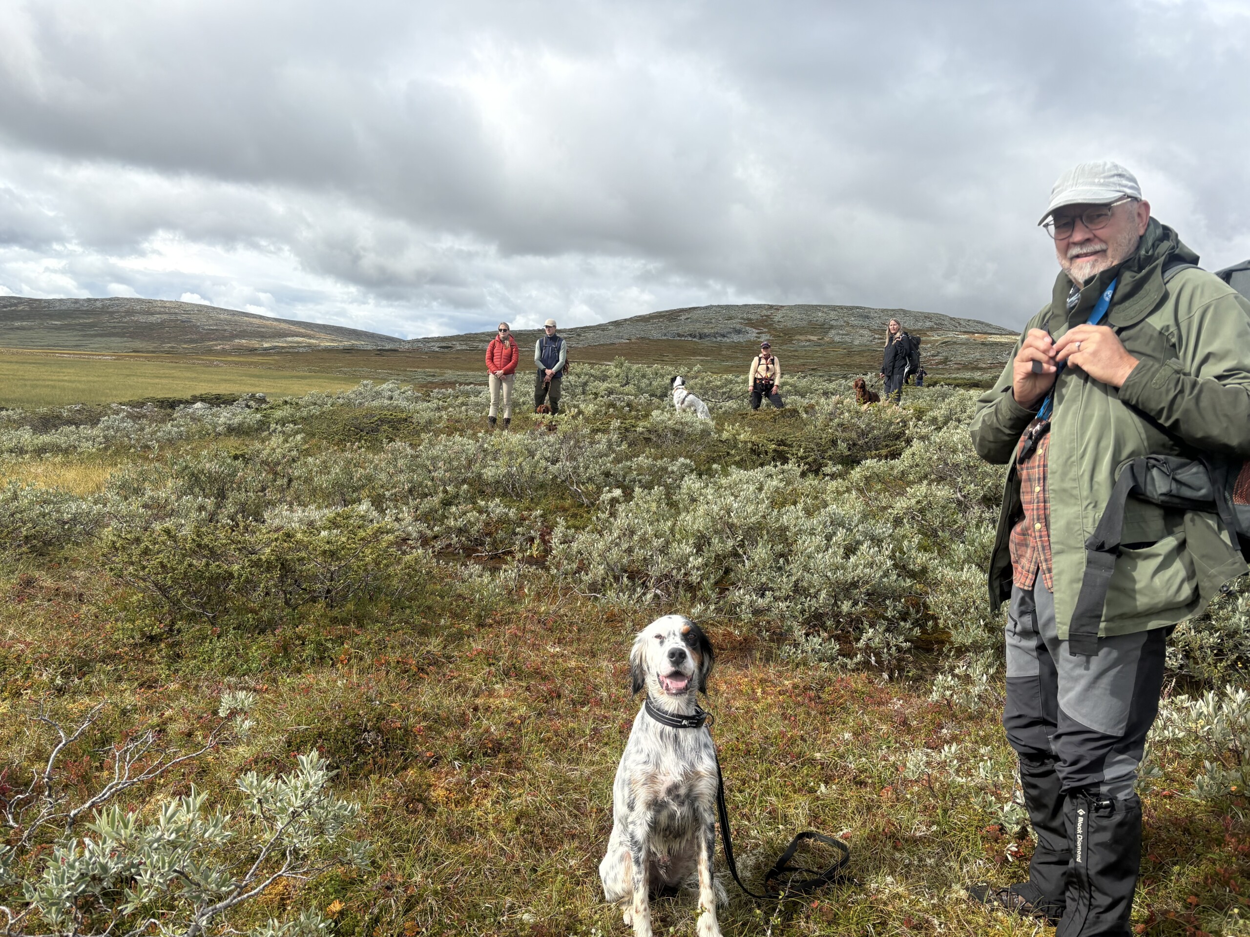 Spåtindens Enzo og Per Nossen i fjellet